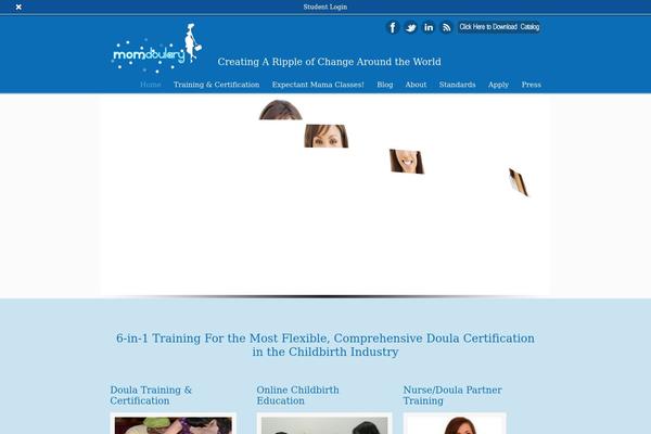 Site using All in One SEO Pack plugin