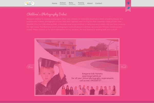 Rt_visage_wp theme site design template sample