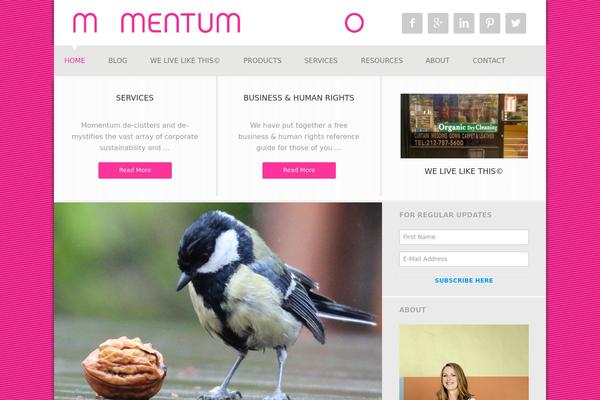 Streamline Pro theme site design template sample