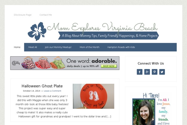 Site using Genesis Social Profiles Menu plugin