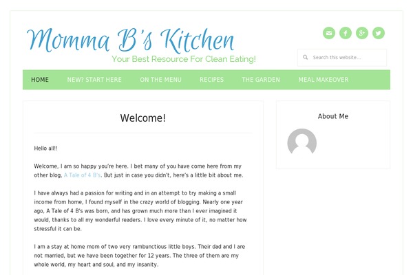 Lifestyle Pro theme site design template sample