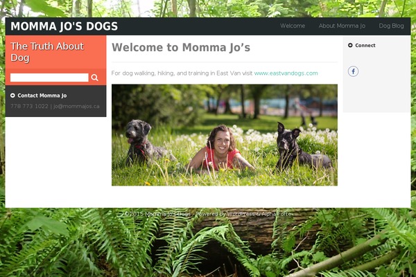 Alpha Forte theme site design template sample