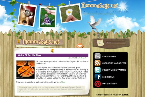Site using Author Box Plugin With Different Description plugin