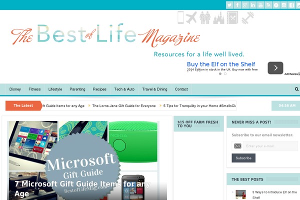 WordPress website example screenshot