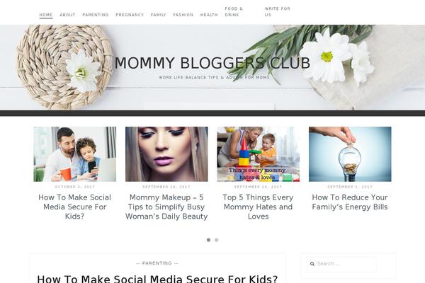 Anissa theme site design template sample