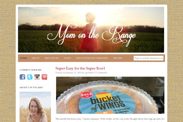 Headway theme site design template sample