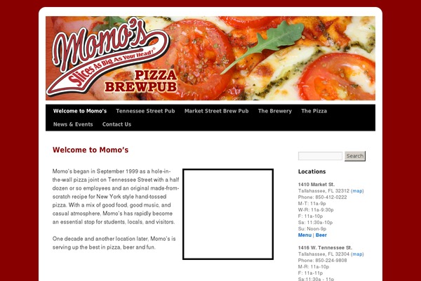 Twentyten-child theme site design template sample