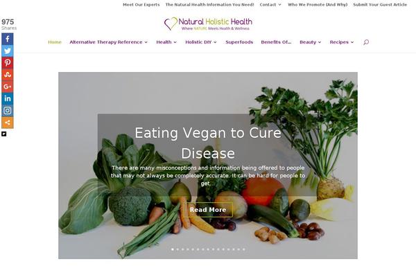 Site using Newsletter-leads plugin