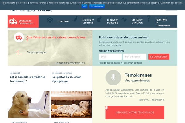 Mae theme site design template sample