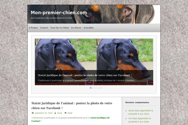 Priimo theme site design template sample