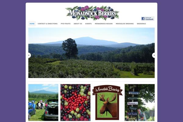Portfolio theme site design template sample