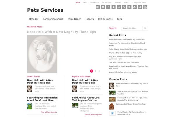 Trendy theme site design template sample