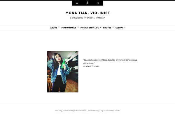 Ryu theme site design template sample