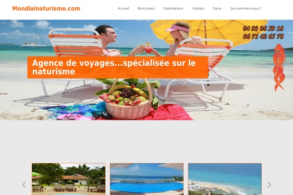 Travelo theme site design template sample