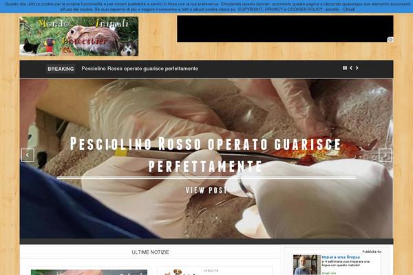 Site using Video Player plugin