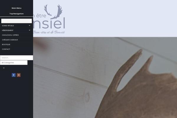 Site using Theme-customisations-master plugin