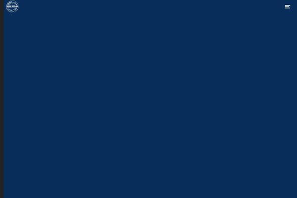 Site using Wolf-custom-post-meta plugin