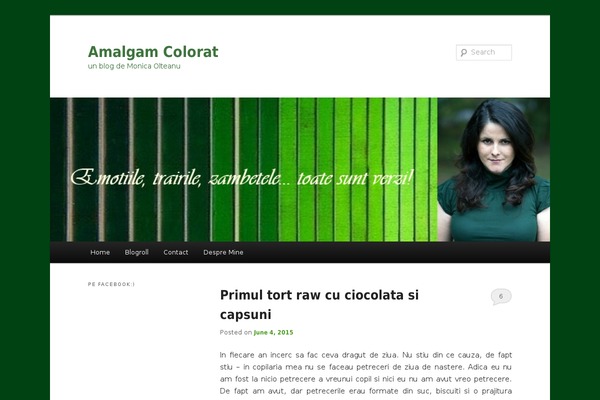 Twenty Eleven theme site design template sample
