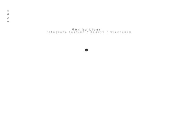 Site using Visual-portfolio plugin