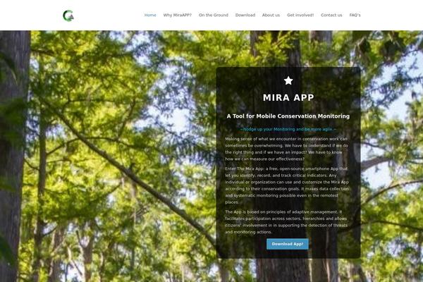 Total Child theme site design template sample