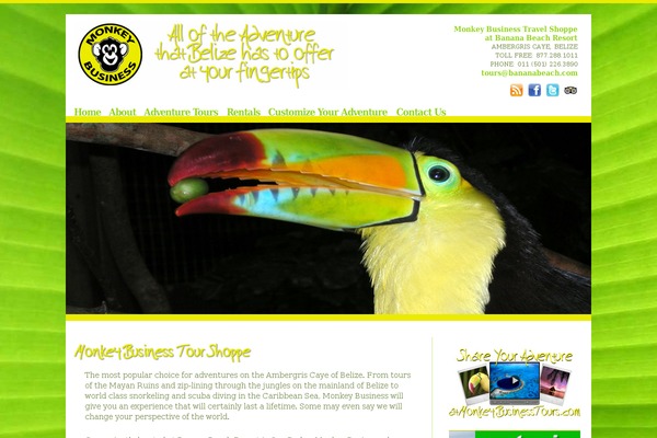 Site using cformsII - contact form plugin