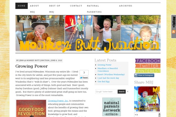 Site using Google Custom Search plugin