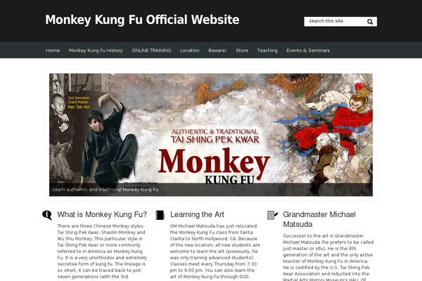 thememagic theme site design template sample