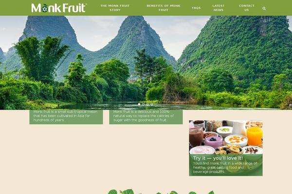 ae-child-theme theme websites examples