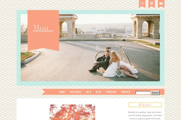 Prophoto4 theme site design template sample