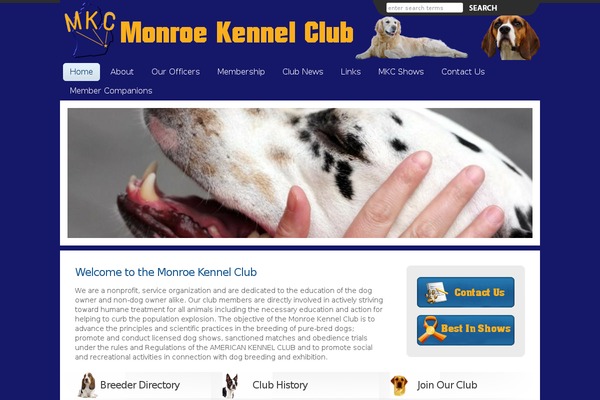 Charlie theme site design template sample
