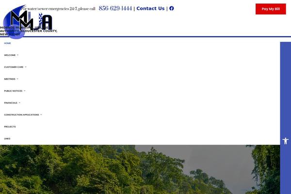 Site using Ninja-forms-style plugin