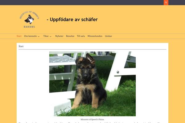 Magzimum theme site design template sample
