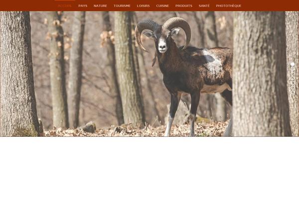 Site using Js_composer_theme plugin
