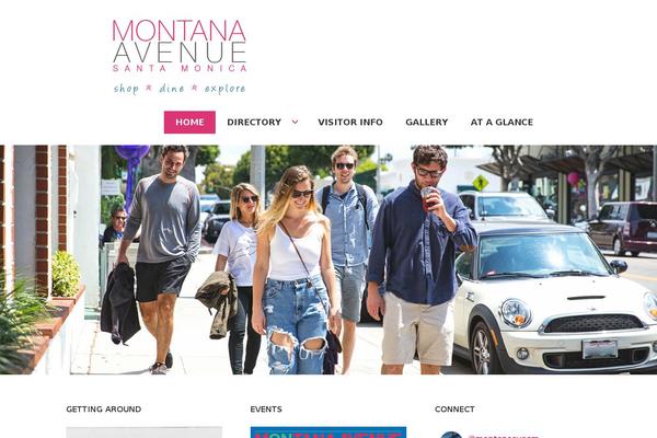 Site using Awesome Social Icons plugin
