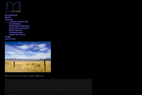 Site using WP Accessibility plugin