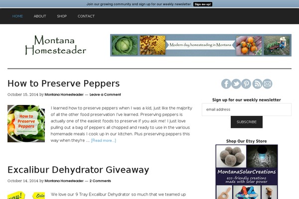 Mai-lifestyle-pro theme site design template sample