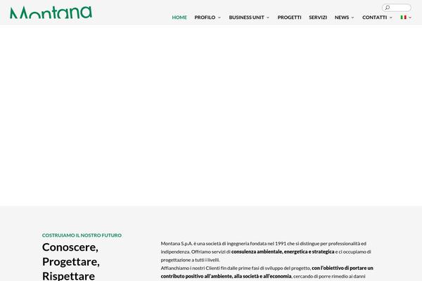 Site using Dse-divi-section-enhancer plugin