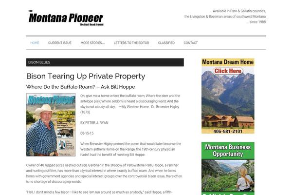 Magazine Pro theme site design template sample