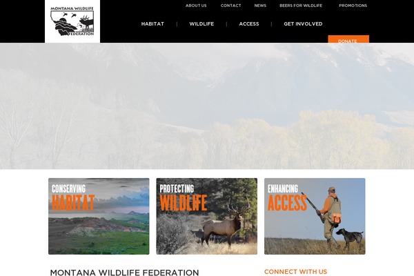 Default theme site design template sample