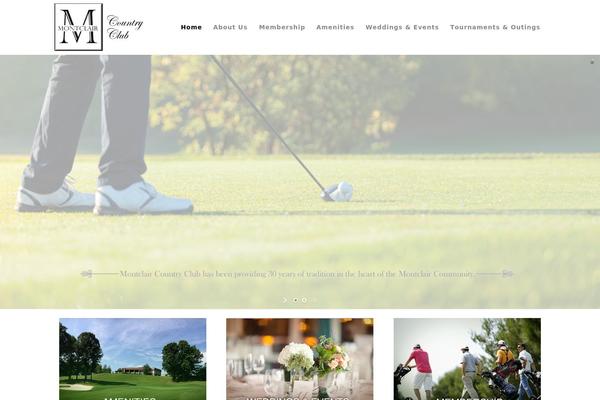 Site using Golfnow-genesis-a11y plugin