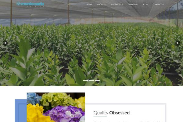 Site using WP Knowledgebase plugin