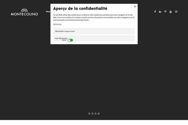 Inteco theme site design template sample