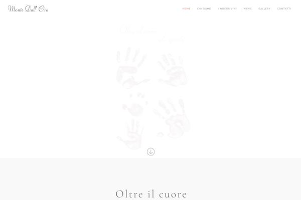 montedallora.com site used Vino