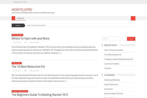 Editorial theme site design template sample