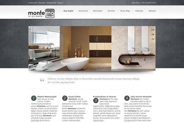 Accent theme site design template sample