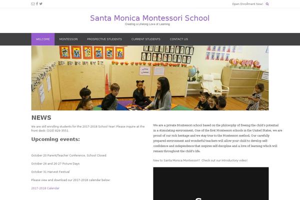 Site using WordPress Video Player plugin