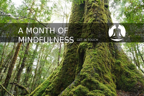 Mindfulness theme site design template sample
