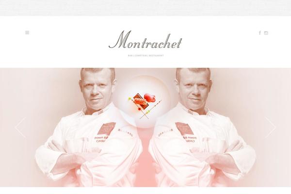 theme54578 theme websites examples