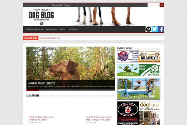Sahifa Child theme site design template sample