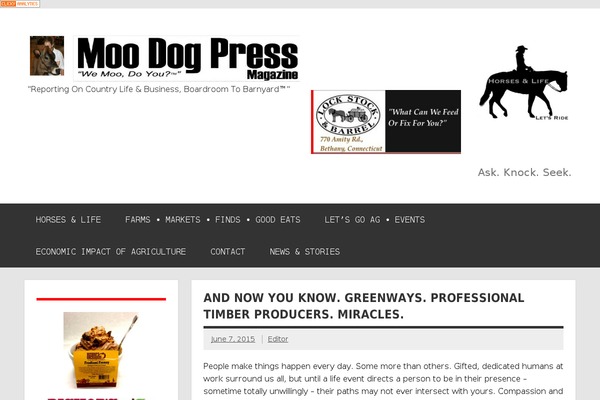 Dynamic News theme site design template sample